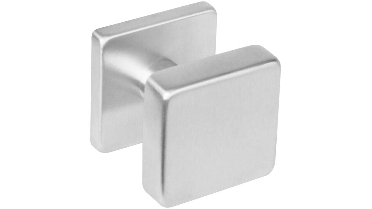 Intersteel Knoprozet verdekt 53x53x8mm met nokken en vaste knop vierkant met wisselstift rvs