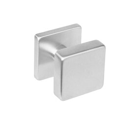 Intersteel Knoprozet verdekt 53x53x8mm met nokken en vaste knop vierkant met wisselstift rvs
