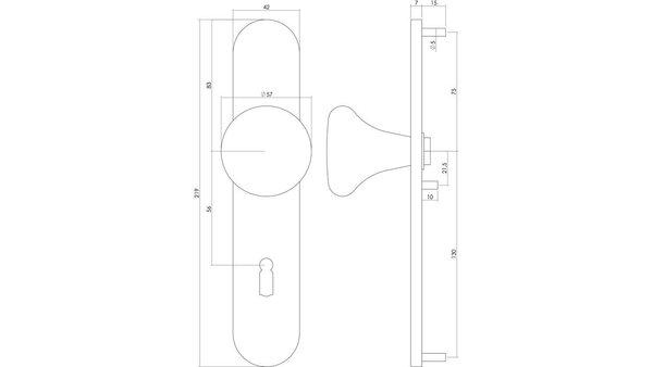 Intersteel Knopschild ovaal verdekt 220x42x8mm met nokken en vaste knop paddenstoel rvs