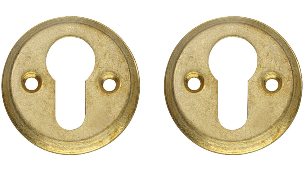 Intersteel Rozetten ø50x5mm messing getrommeld