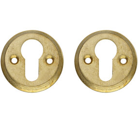 Intersteel Cilinderrozetten ø50x5mm messing getrommeld