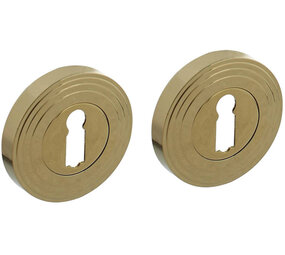 Intersteel Sleutelrozetten verdekt met rillen ø55x10mm en nokken PVD messingkleur