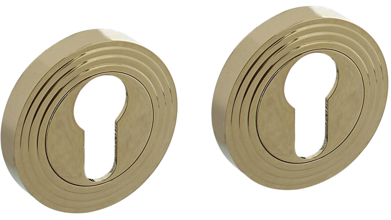 Intersteel Cilinderrozetten verdekt met rillen ø55x10mm en nokken PVD messingkleur