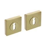 Intersteel Sleutelrozetten verdekt 55x55x10mm met nokken PVD messingkleur