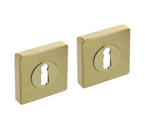 Intersteel Sleutelrozetten verdekt 55x55x10mm met nokken PVD messingkleur Intersteel Sleutelrozetten verdekt 55x55x10mm met nokken PVD messingkleur