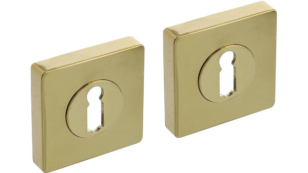 Intersteel Sleutelrozetten verdekt 55x55x10mm met nokken PVD messingkleur