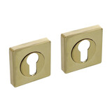 Intersteel Cilinderrozetten verdekt 55x55x10mm met nokken PVD messingkleur