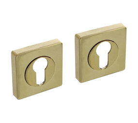 Intersteel Cilinderrozetten verdekt 55x55x10mm met nokken PVD messingkleur