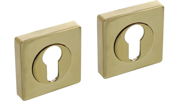 Intersteel Cilinderrozetten verdekt 55x55x10mm met nokken PVD messingkleur