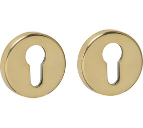 Intersteel Cilinderrozetten verdekt ø53x9mm PVD messingkleur