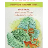 De Zaderij Biologische Boerenkool Westlandse Winter