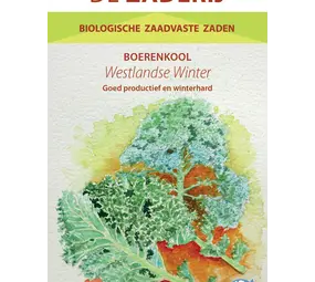 De Zaderij Biologische Boerenkool Westlandse Winter De Zaderij Biologische Boerenkool Westlandse Winter