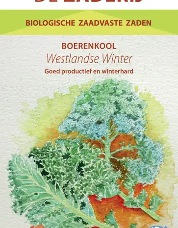 De Zaderij Biologische Boerenkool Westlandse Winter De Zaderij Biologische Boerenkool Westlandse Winter