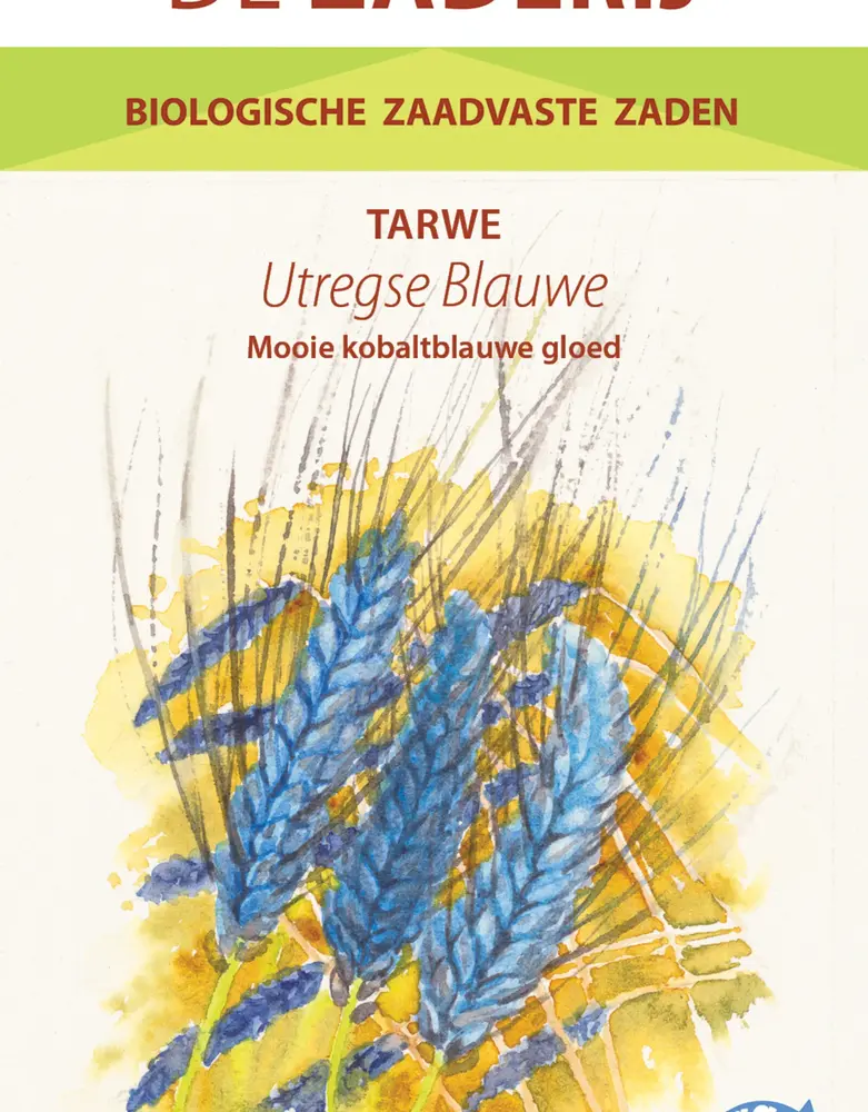 De Zaderij Biologische Tarwe Utregse Blauwe