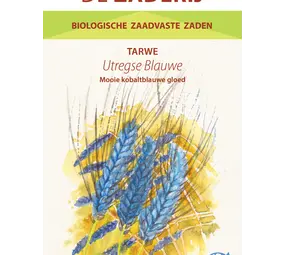 De Zaderij Biologische Tarwe Utregse Blauwe