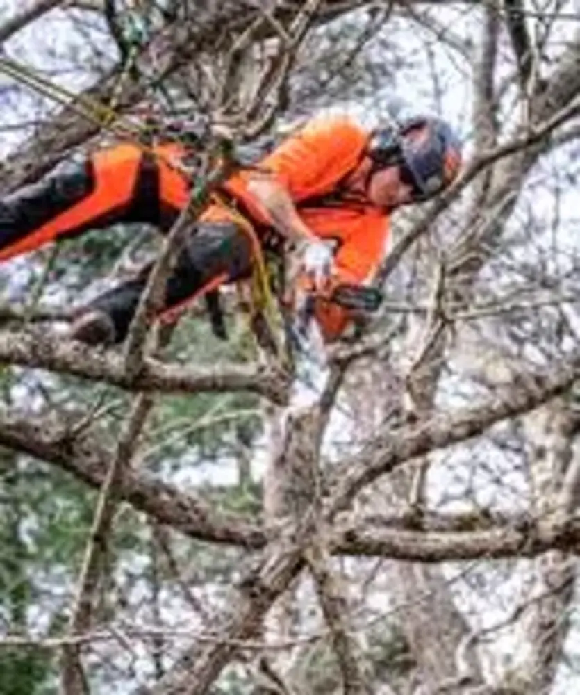 Husqvarna Husqvarna Kettingzaag T525 25cm 3/8 S93G