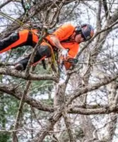 Husqvarna Husqvarna Kettingzaag T525 25cm 3/8 S93G