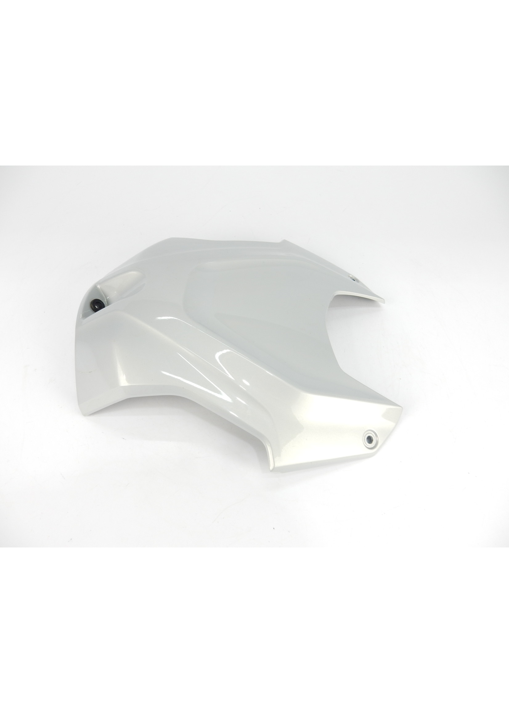 BMW BMW S 1000 RR Verkleidung Airbox WN2W hockenheim zilver / 46638569770