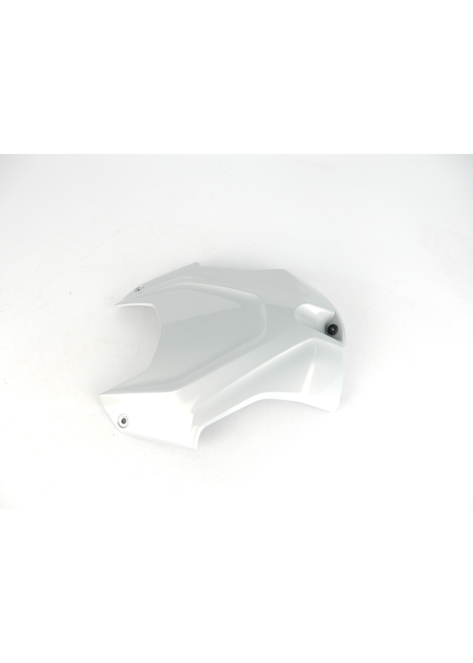 BMW BMW S 1000 RR Bekleding Airbox WN2W hockenheim zilver / 46638569770