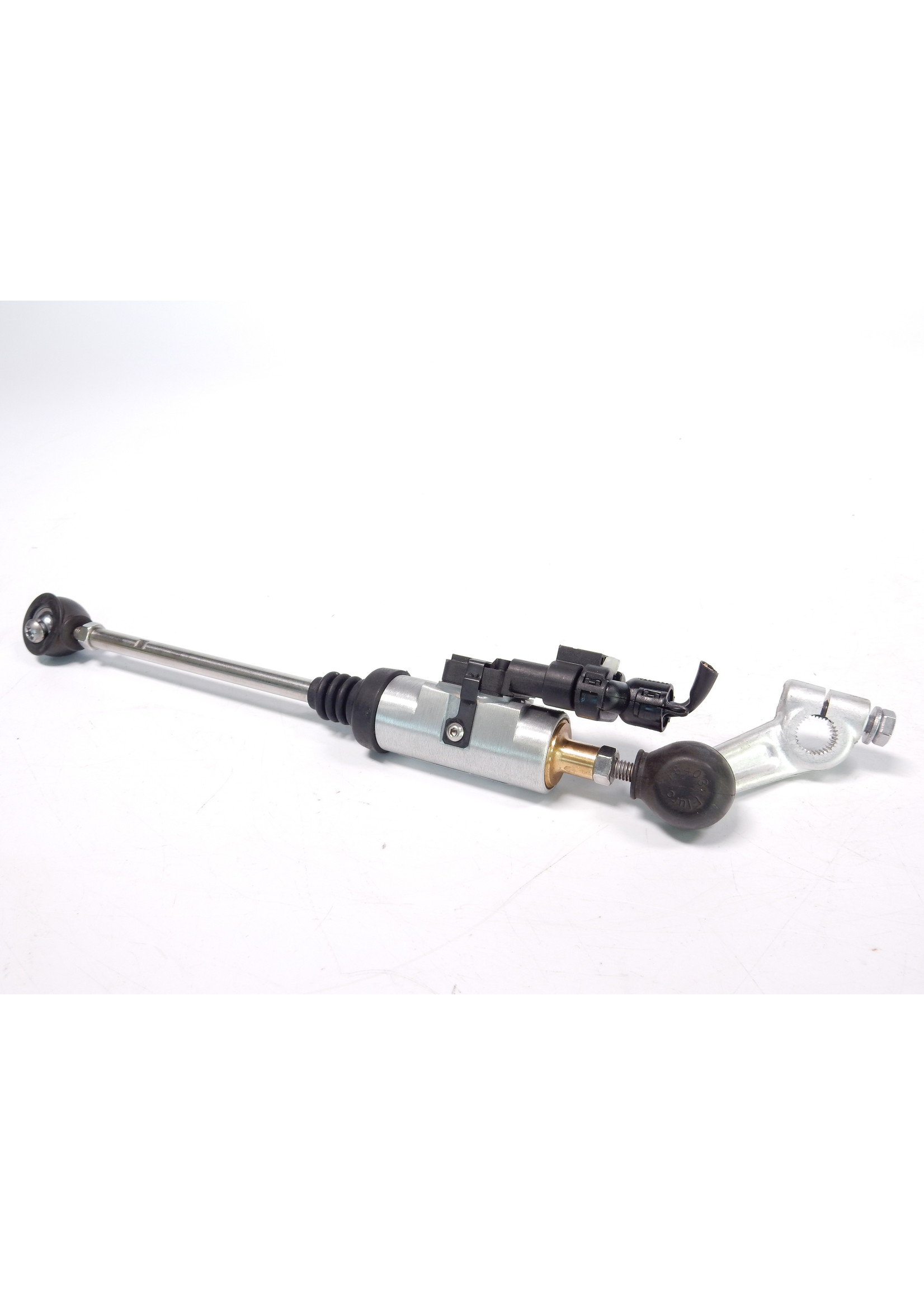 BMW BMW S 1000 R Schaltassistent Pro / 23418355688