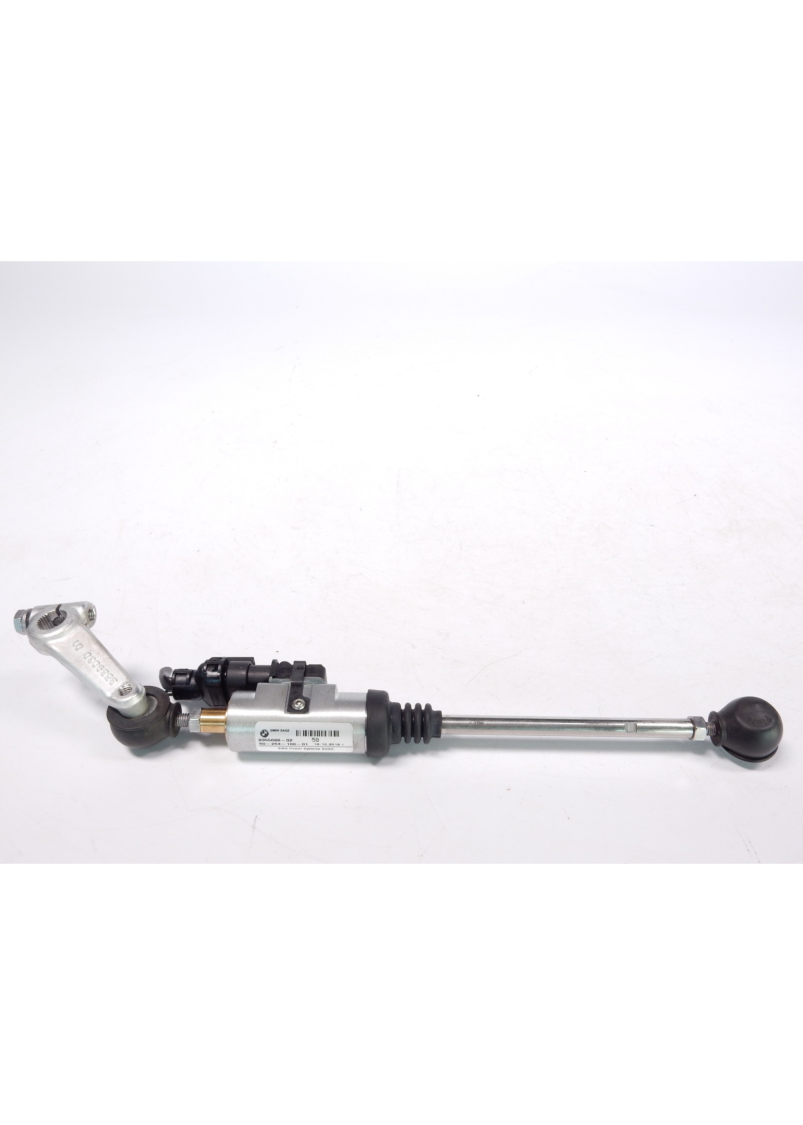 BMW BMW S 1000 R Schakelassistent Pro / 23418355688