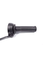 BMW BMW G 310 GS Elektronische gashendel / 61318382956