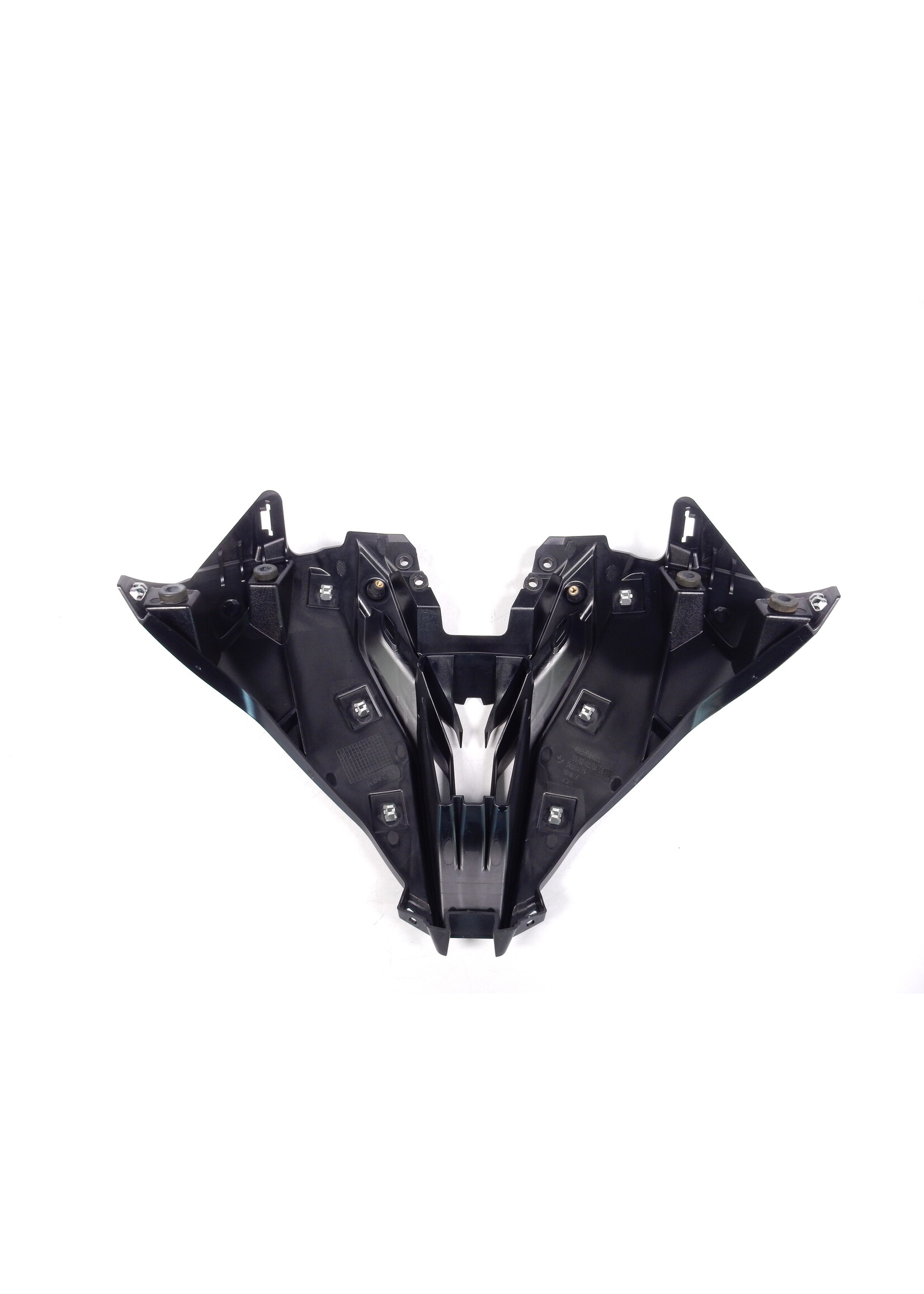 BMW BMW M 1000 RR Luchttoevoergrille / 46637924303