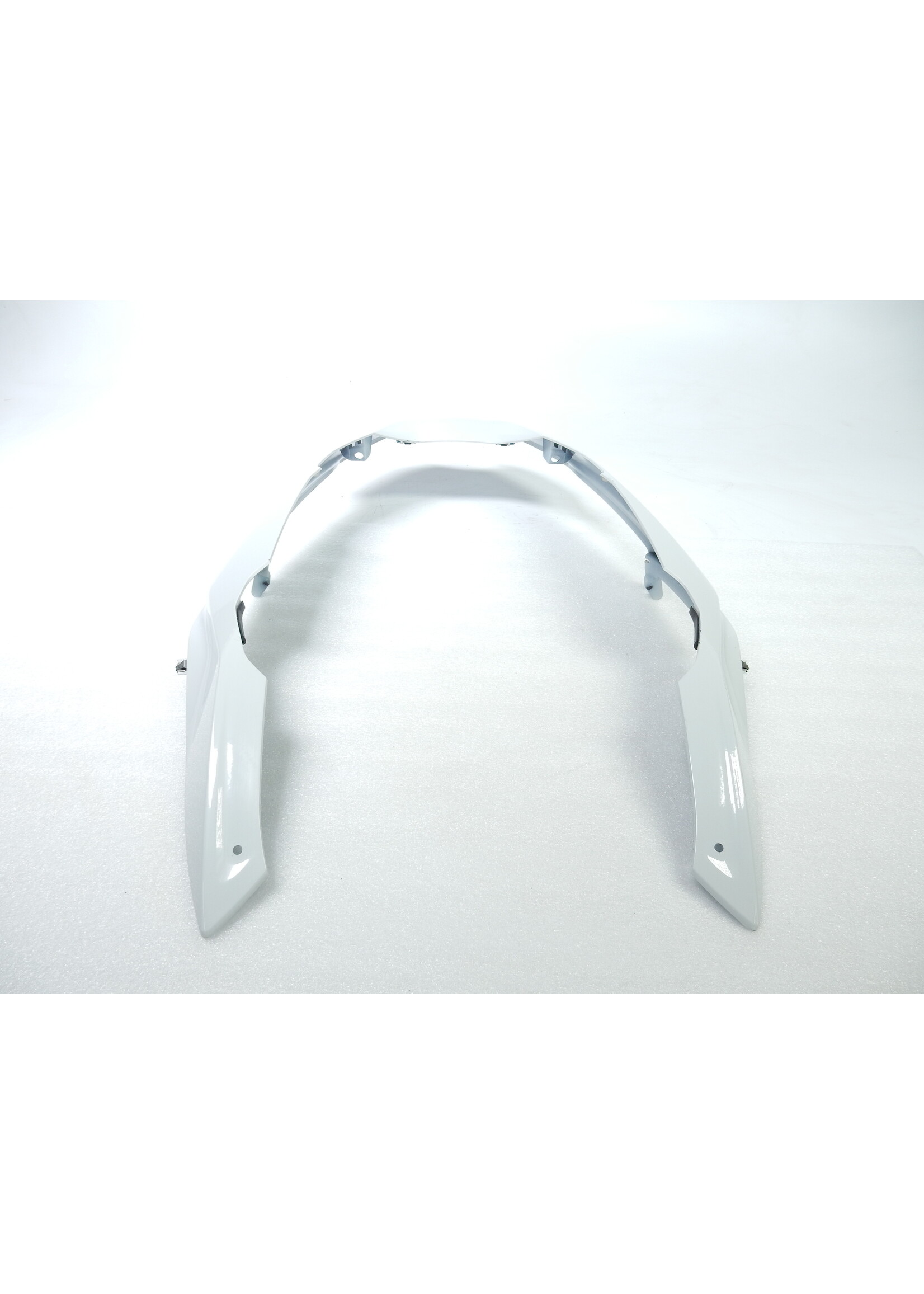 BMW BMW R 1250 GS Vorderradabdeckung oben LIGHT-WHITE / 46618567895