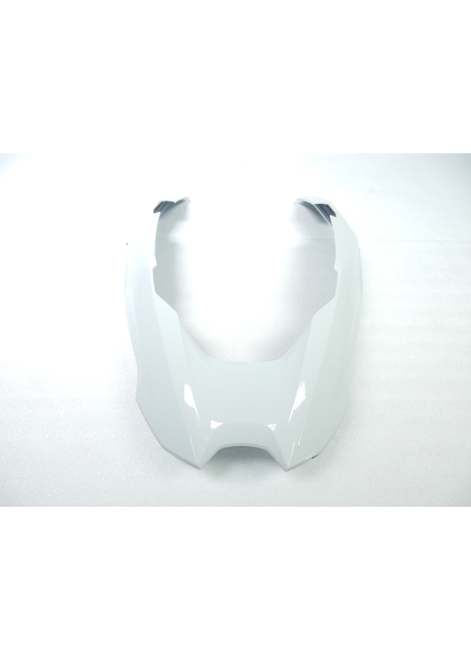 BMW BMW R 1250 GS Vorderradabdeckung oben LIGHT-WHITE / 46618567895