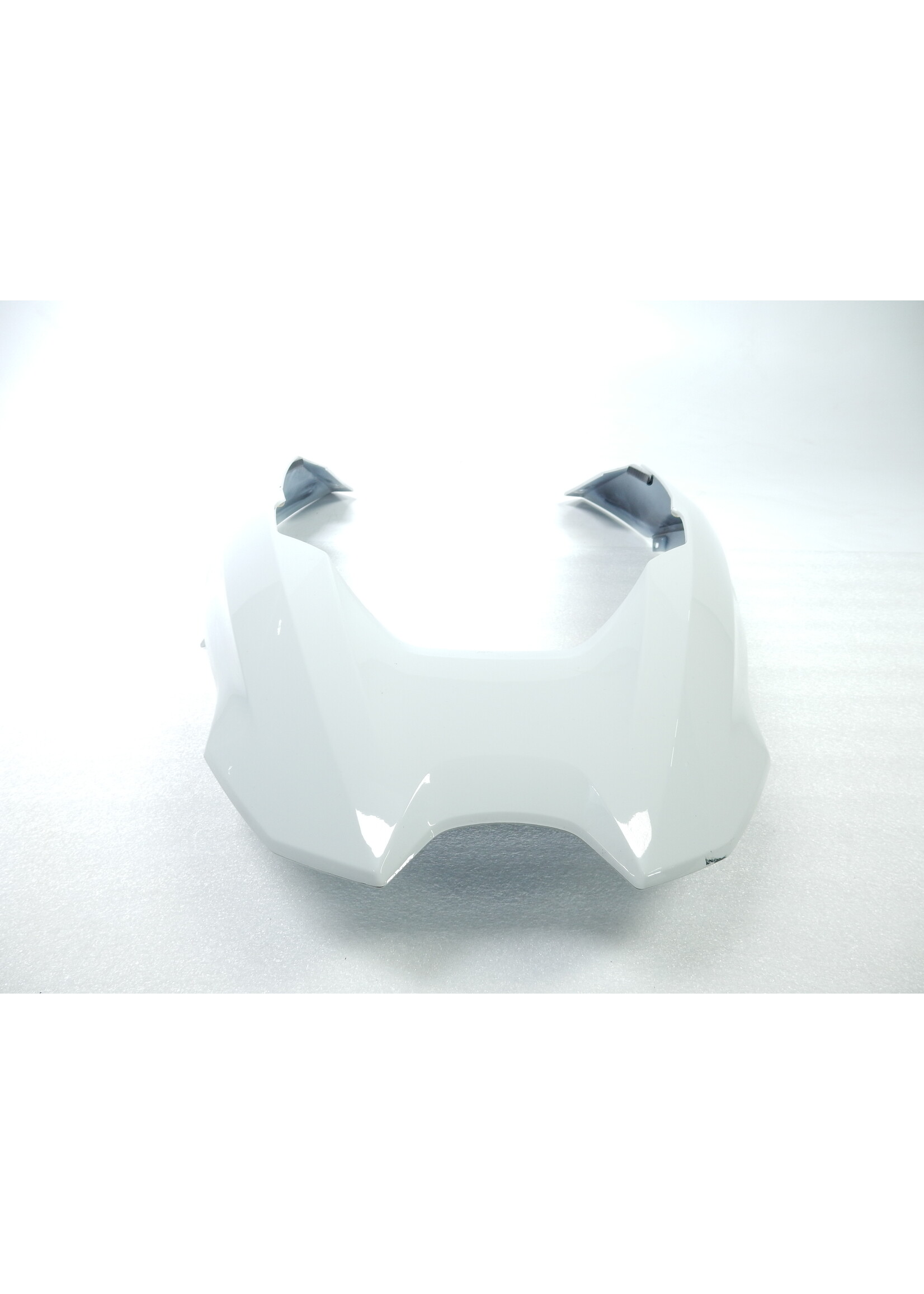 BMW BMW R 1250 GS Vorderradabdeckung oben LIGHT-WHITE / 46618567895