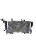 BMW BMW F 750 GS Radiateur / Expansietank / Ventilatoromlijsting met ventilator / 17118565247 / 17138565245 / 17119898678