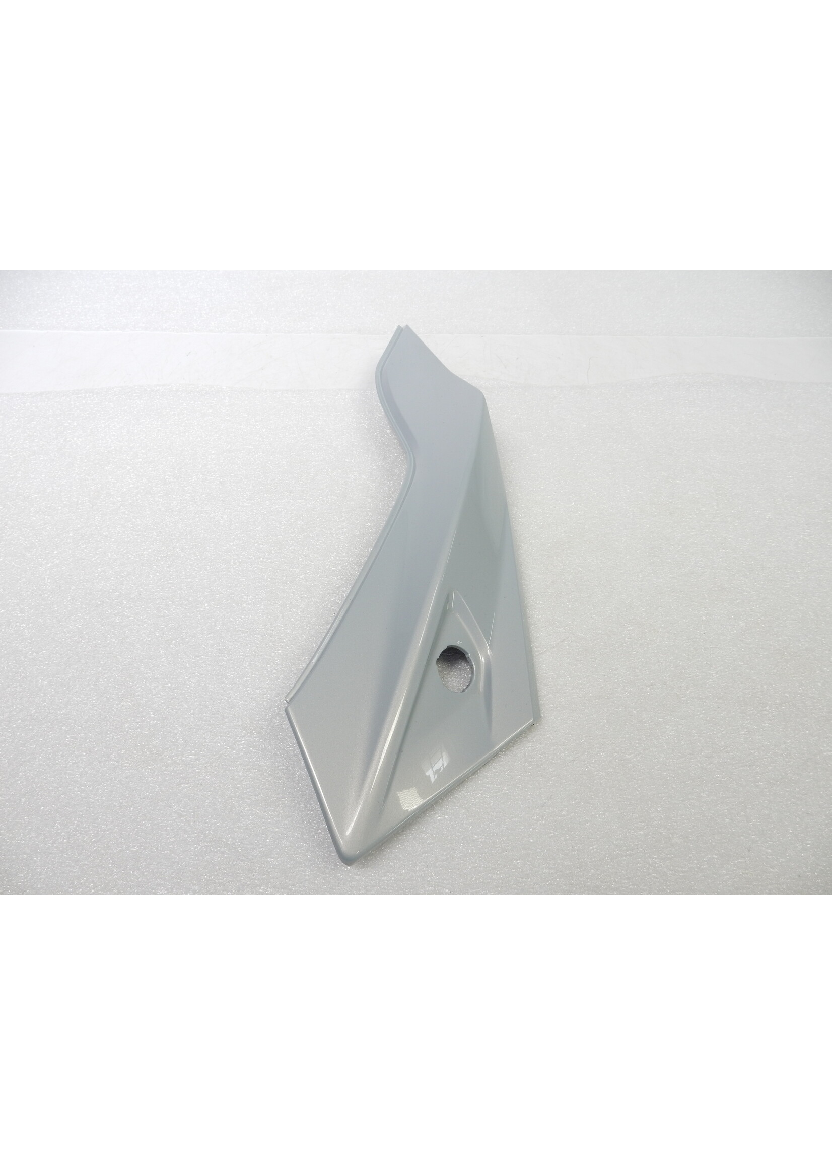 BMW BMW F 900 R Fairing side panel rear left / 46638403867 / 46639444567