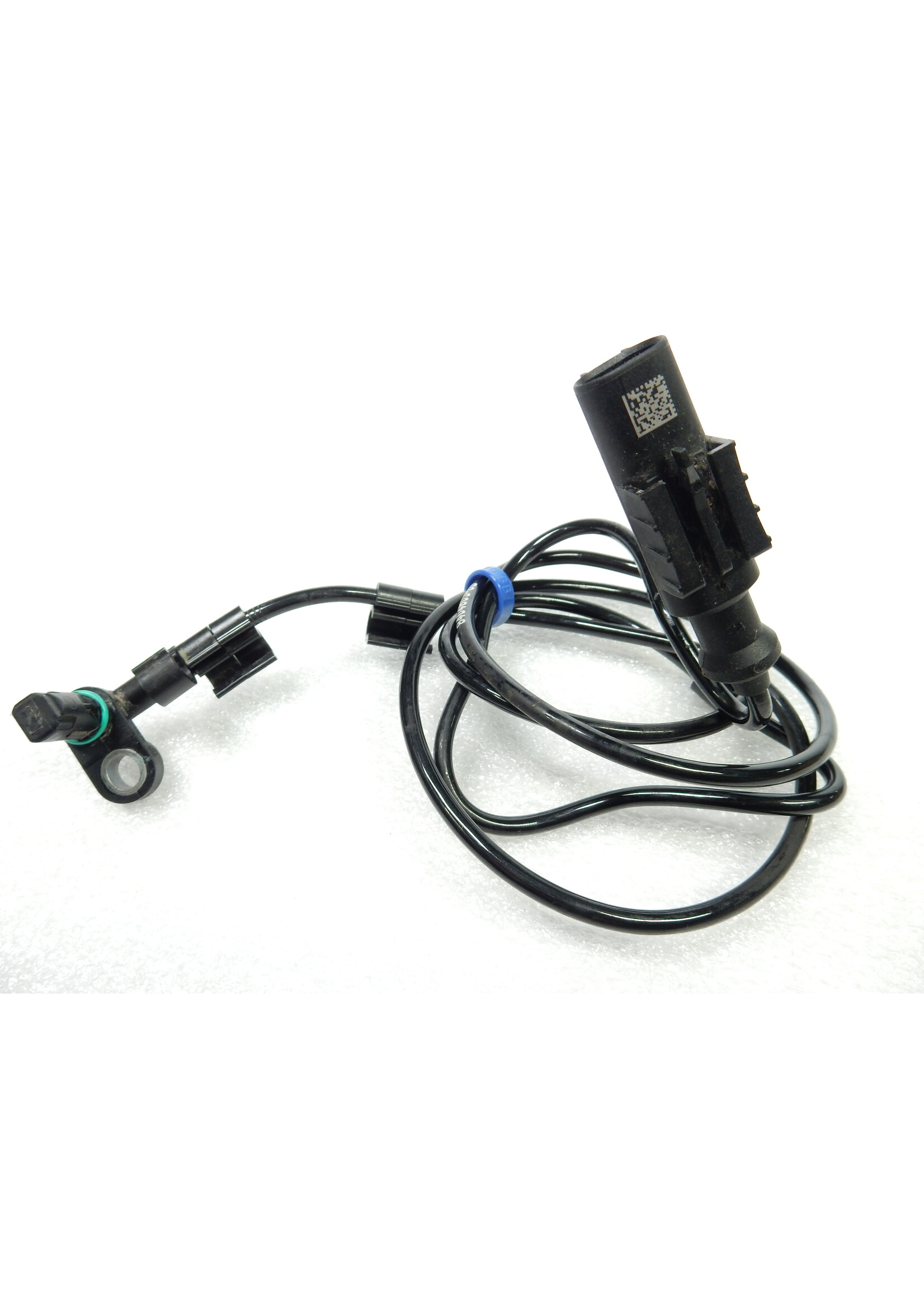 BMW BMW F 900 XR Raddrehzahlsensor / 34528404803