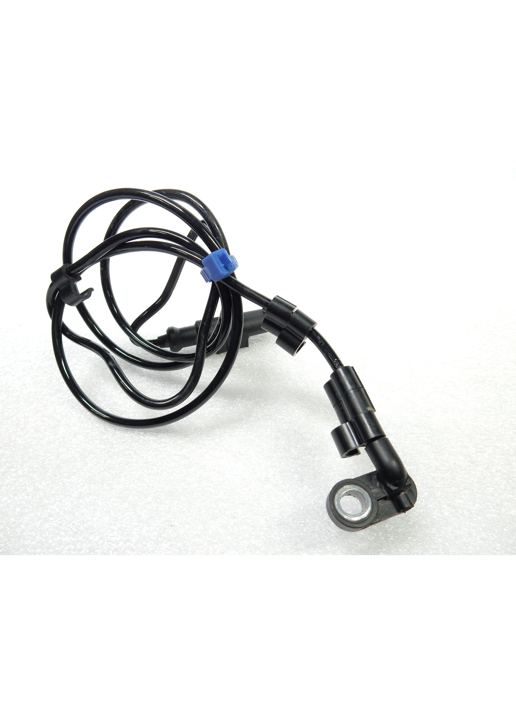 BMW BMW F 900 XR Raddrehzahlsensor / 34528404803