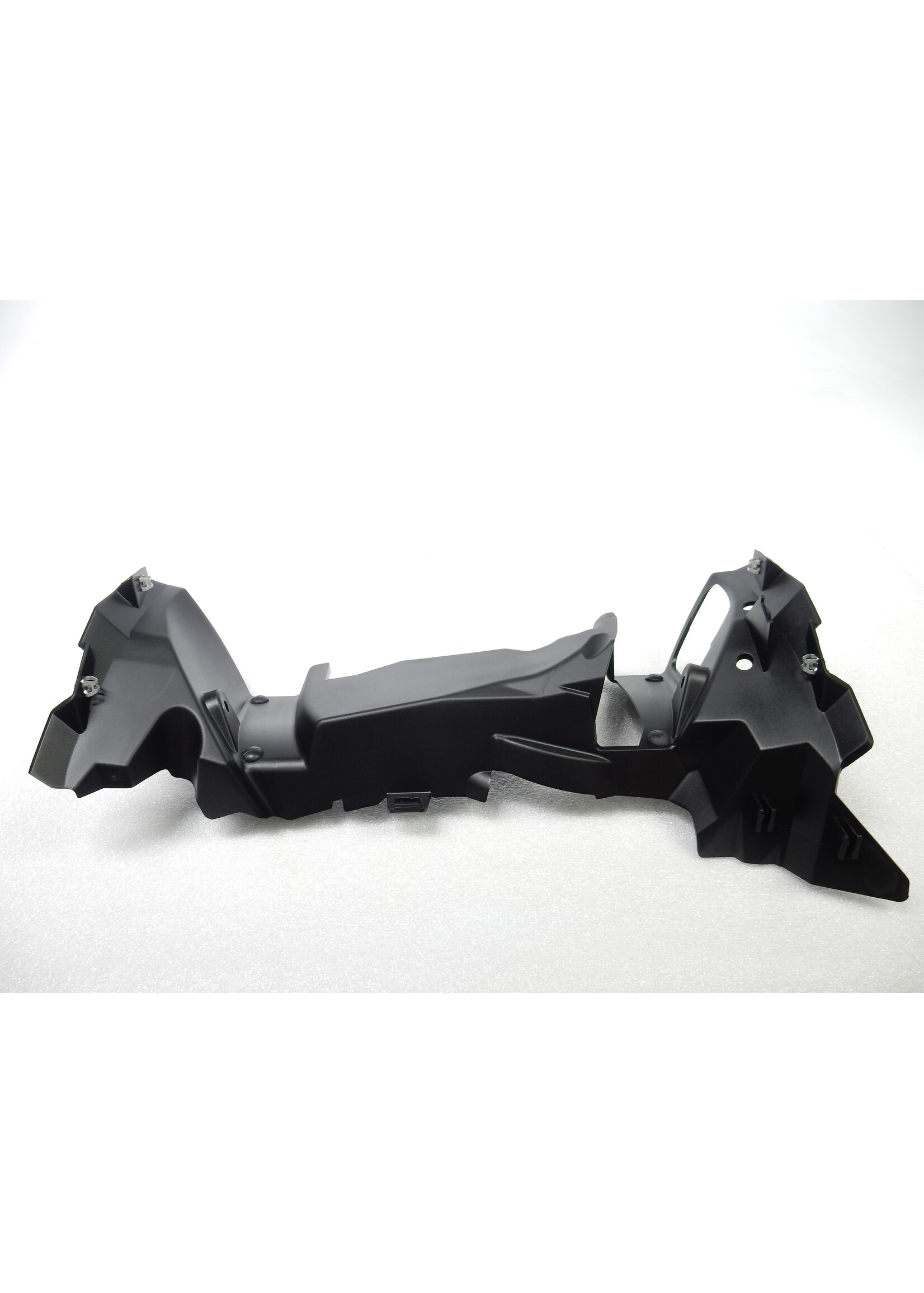 BMW BMW F 900 XR Abluftführung Kühler / 46638403904