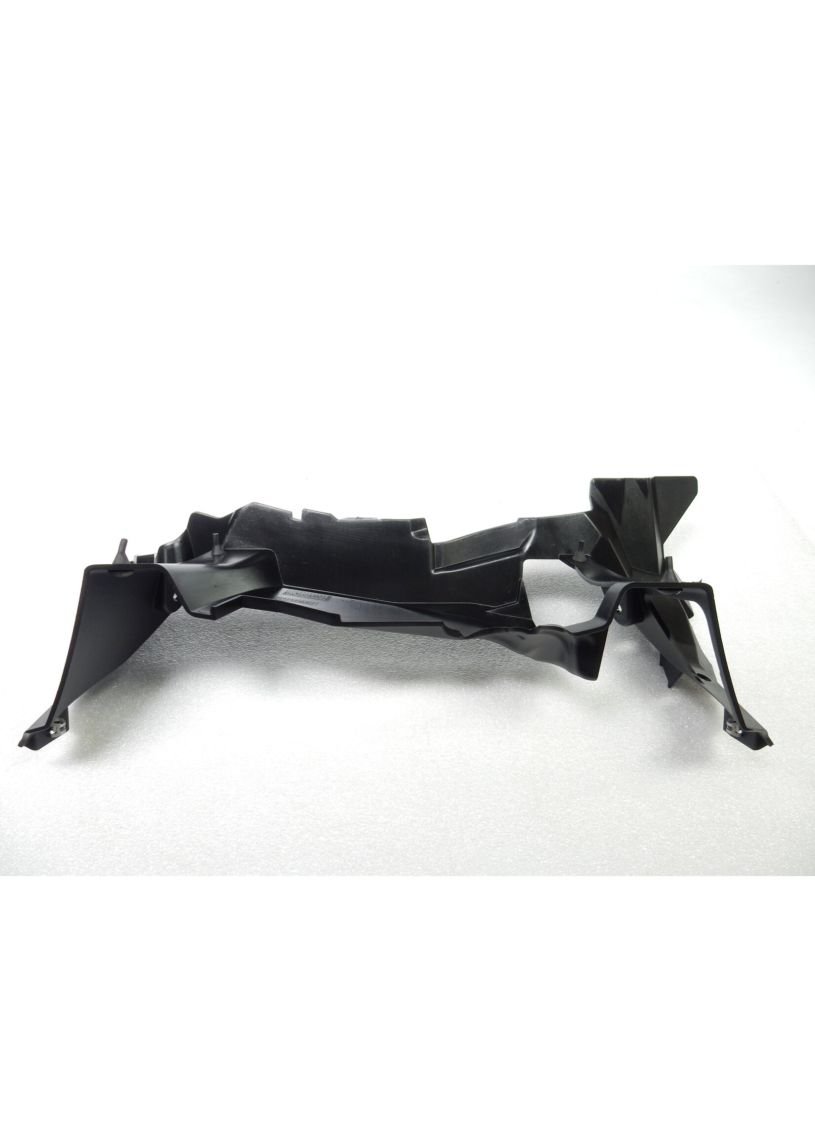 BMW BMW F 900 XR Abluftführung Kühler / 46638403904