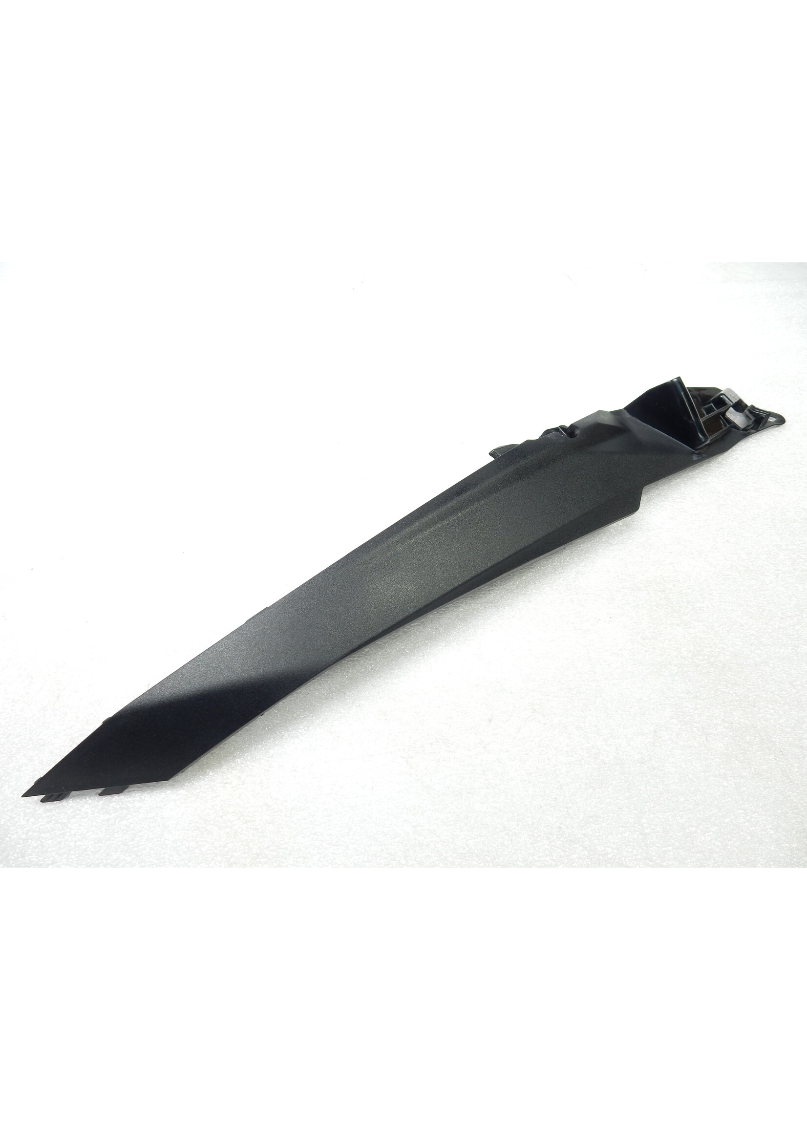 BMW BMW F 900 R Right tail trim / 46638403866 / 8403866