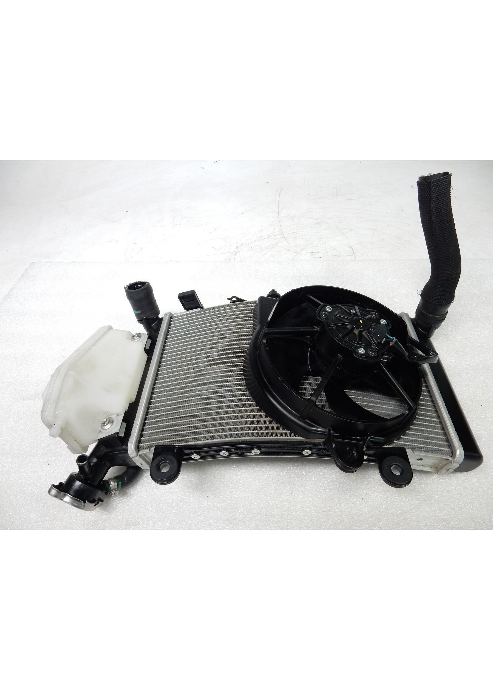 BMW BMW F 900 R Radiator / 17118404406 / 8404406