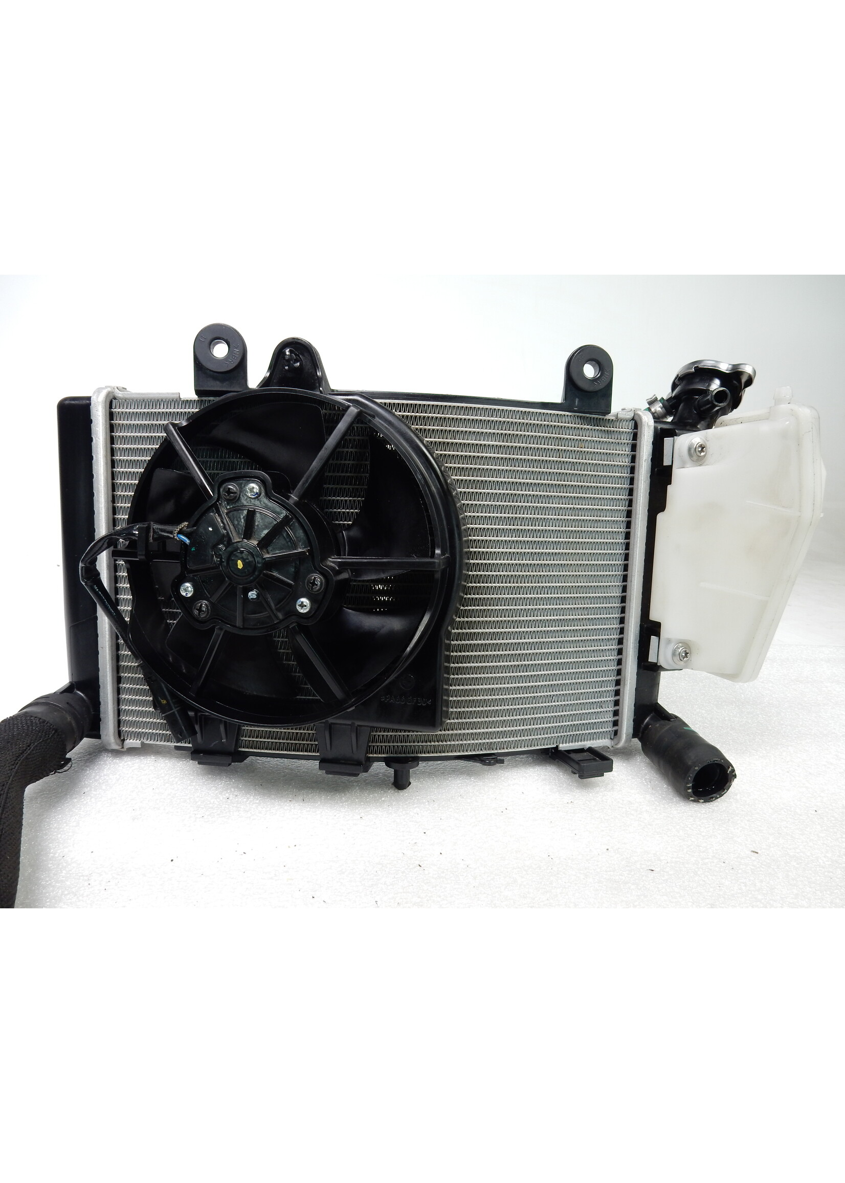 BMW BMW F 900 R Radiator / 17118404406 / 8404406