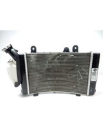 BMW BMW F 900 R Radiator / 17118404406 / 8404406