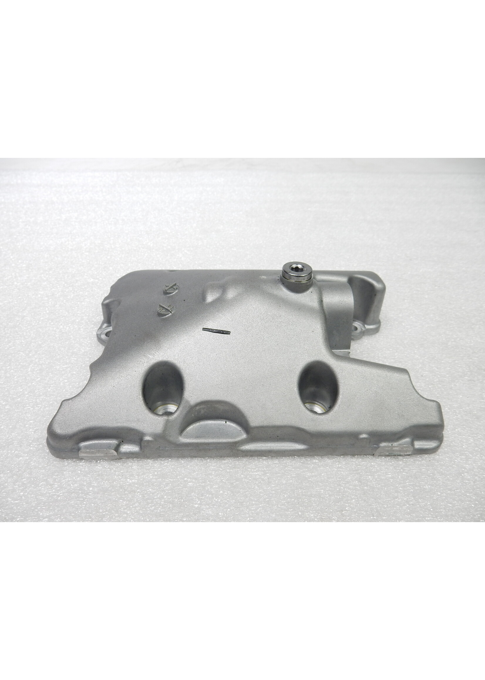 BMW BMW F 900 R Oil sump dry sump / Set strainer oil sump / 11418565777 / 11008404496 / 1541720