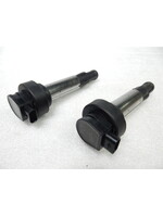 BMW BMW F 900 R Ignition coil / 9898548 / 8388480