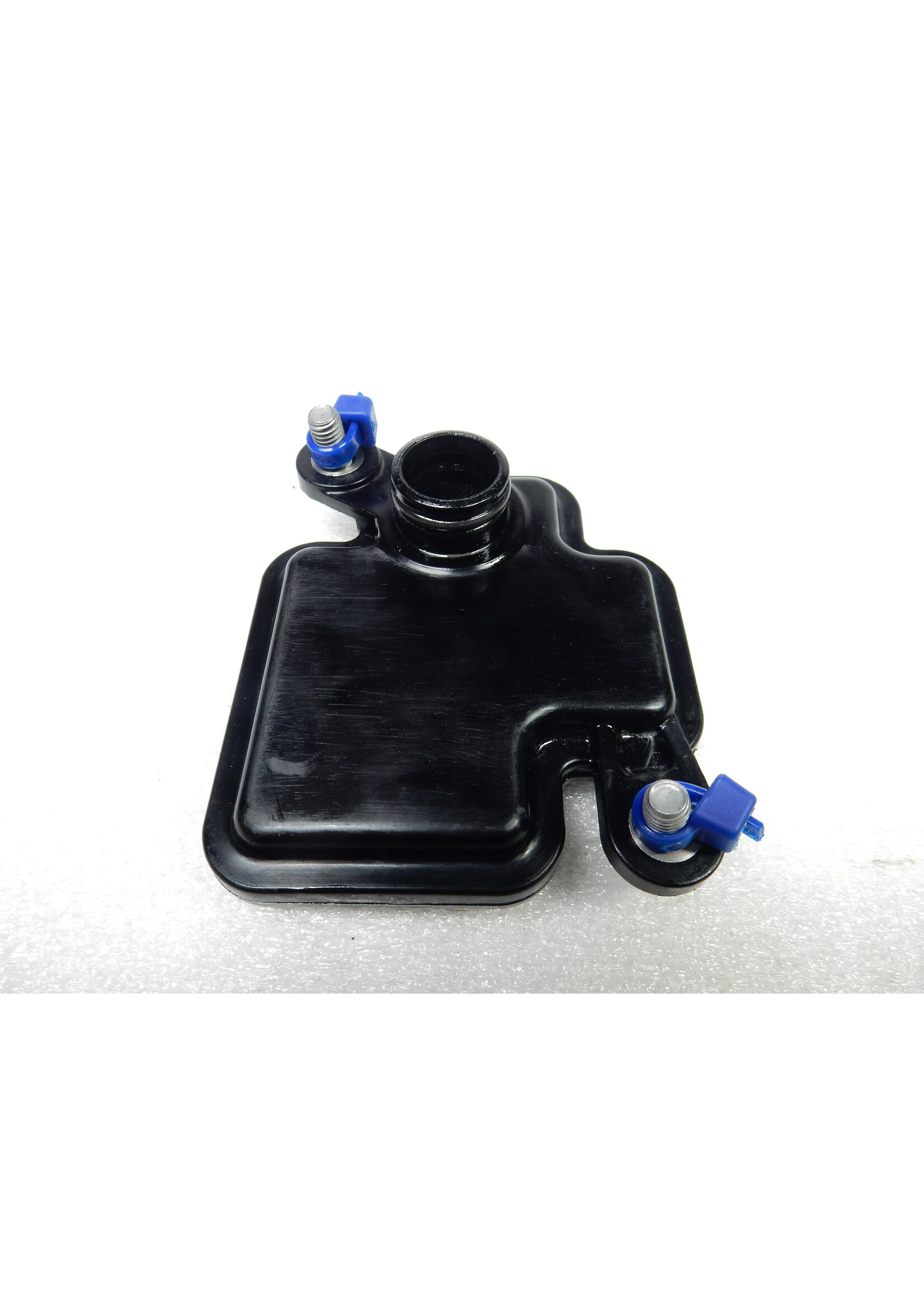 BMW BMW F 900 R Aanzuigsnorkel Oliepomp / 11418392069 / 8392069