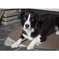 Scruffs Insect Shield Blanket Scruffs® Scruffs Insect Shield Blanket