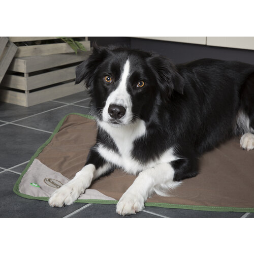 Scruffs® Scruffs Insect Shield Blanket