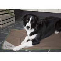 Scruffs Insect Shield Blanket Scruffs® Scruffs Insect Shield Blanket