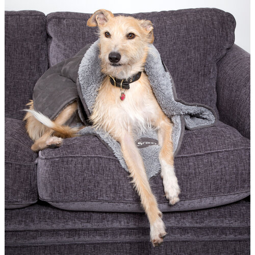 Scruffs® Scruffs Cosy Blanket