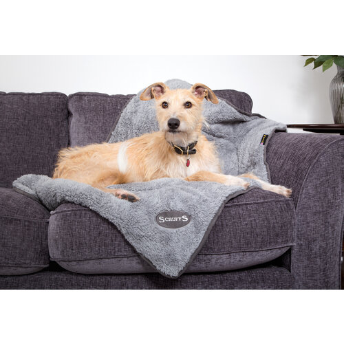 Scruffs® Scruffs Cosy Blanket