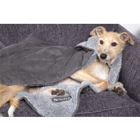 Scruffs Cosy Blanket Scruffs® Scruffs Cosy Blanket