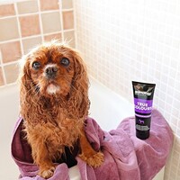 Animology True Colours Dog Shampoo Animology Animology True Colours Dog Shampoo